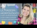 ULTRASSOM MORFOLÓGICO 1º e 2º Trimestre | Para que serve, o que o médico avalia | Maternidade Hoje