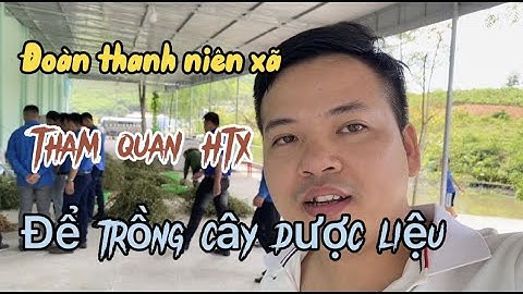 Đoàn thanh niên tham quan trồng cây dược liệu | Nông Dược Tĩnh Sáng Đường