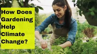 How Does Gardening Help Climate Change?