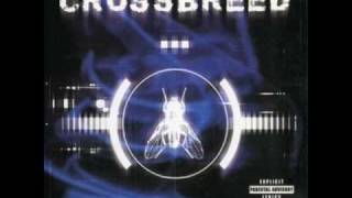 Crossbreed: Concentrate