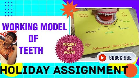 HOLIDAY ASSIGNMENT CLASS 7 | | WORKING MODEL OF TEETH | | FULL DETAILED VIDEO