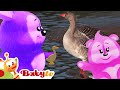 В мире животных Узнаём интересные факты о гусях BabyTVRU