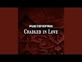 Miniature de la vidéo de la chanson Cradled In Love (Radio Edit)
