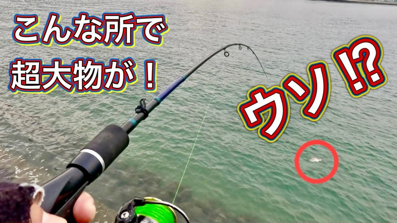 【虫ヘッド×本虫】竿ブチ曲がり！！しまなみ海道岩子島で大型魚GET⁉︎