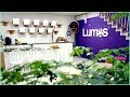 Dmlite coltd of lumos led lighting systems   lumos by dmlite