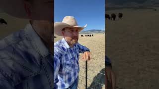 How Ranchers Make Money