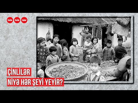 Çinlilər niyə hər şeyi yeyirlər?