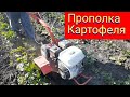 Мотоблок Агат Прополка картофеля мотоблоком.