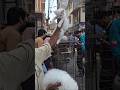 Blue Eyes cat for sale in mirpur hat | Cat price in Bangladesh | Cat | kitten