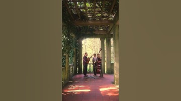 Thumbnail of ‘Oo-De-Lally’ by Roger Miller from Disney’s Robin Hood 🌳🍃✨🫶 #music #acousticfolk