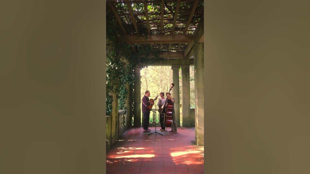 ‘Oo-De-Lally’ by Roger Miller from Disney’s Robin Hood 🌳🍃✨🫶 #music #acousticfolk