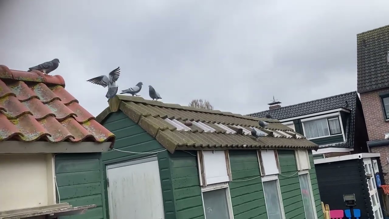 Doffers voor de eerste keer los in 2023 … met in de hoofdrol: De Carteus Giant