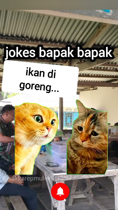 ikan, ikan apa yang gabisa berenang, jokes bapak bapak #cat #kucing #meme #lucu  #shorts