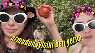 Köyde Bir Günüm Ft. Ayselim