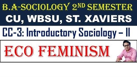 ECO FEMINISM |Feminist Perspective I INTRODUCTORY SOCIOLOGY | CC-3 I SEM - 2 | বাংলায় সমাজতত্ত্ব |