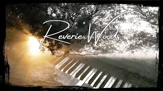 Reverie Woods - New original song by ALE