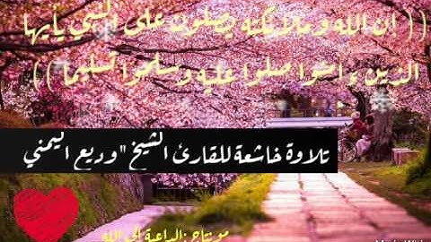 تلاوة خاشعة " إن الله وملائكته يصلون على النبي " للقارئ الشيخ:وديع اليمني