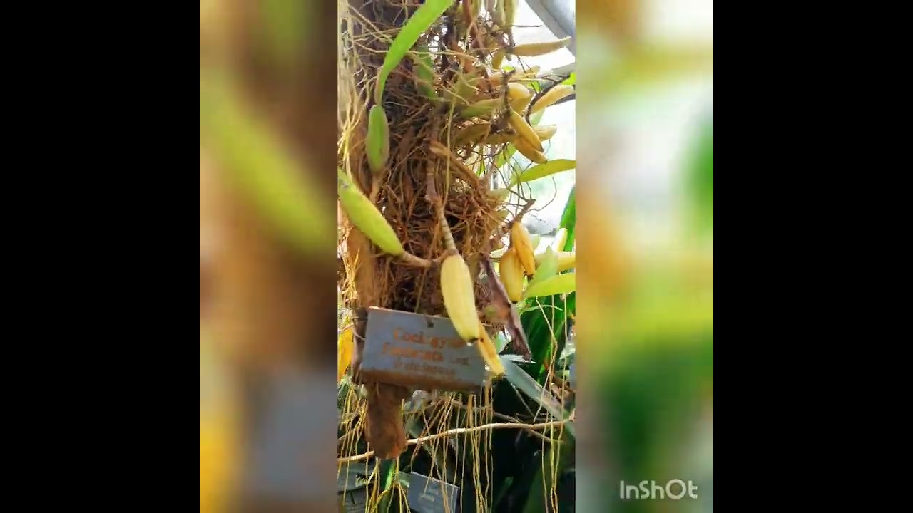 Botanischer Garten der Universität Bern