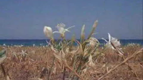Living in Italy - Focus on Puglia