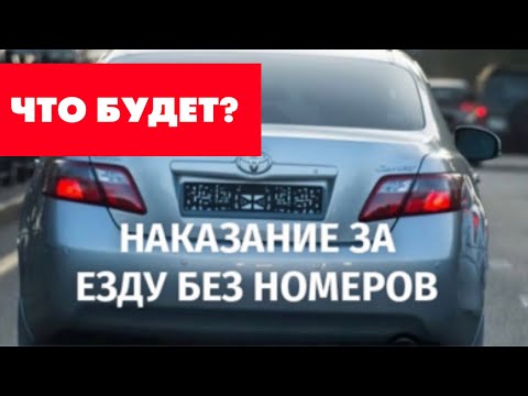 Езда без госномеров / Чего ждать автолюбителям?