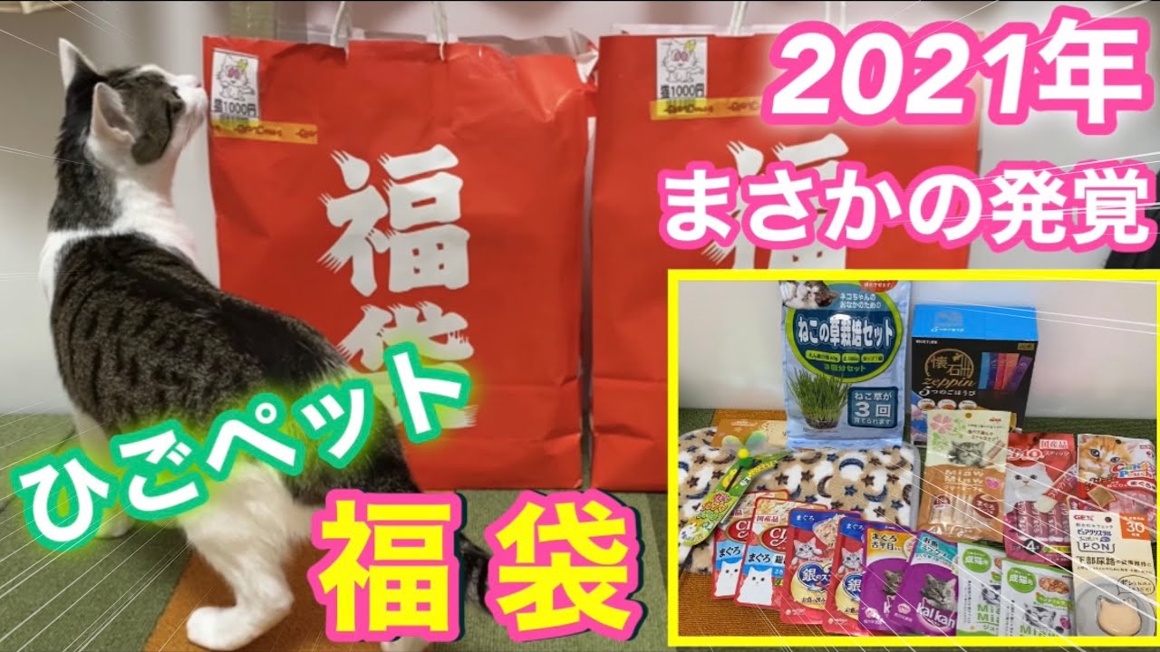 2021年猫用福袋！ひごペットの福袋を購入された方は注意が必要です【我が家編】＊195