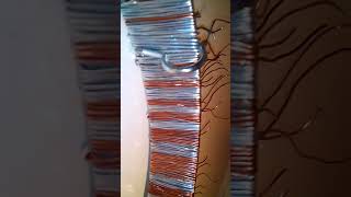 UPDATED----------------FIBONACCI TREE