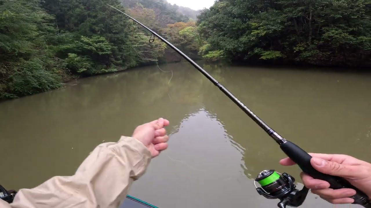 Bass Fishing Live Streaming Highlight in Japanese River Japan lake Shimano Metanium DC megabass OSP
