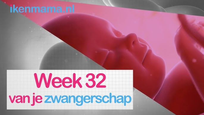 26 Weken Zwanger? Bekijk Symptomen, Echo, Je Buik En Info Over Bevallen |  Ikenmama.Nl - Youtube