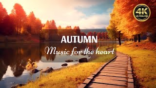 The Best Destination in America for Fall Foliage 🍂🍁Rural America 🍂 Best Fall Foliage in the World
