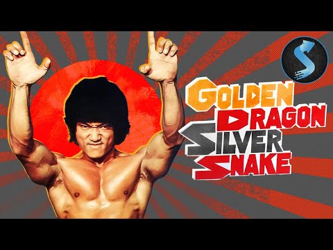 DRAGON LEE AVENGES HIS DEAD BROTHER