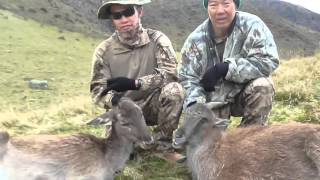 Frey hunts free range Tahr