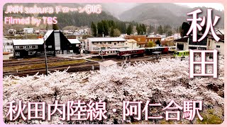 ローカル鉄道と満開の桜並木　秋田県北秋田市【JNN sakuraドローンDIG 2023】| TBS NEWS DIG