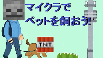 マイクラペットコマンド