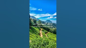ماتيسر من سورة الطور للقارئ الشيخ محمد صديق المنشاوي رحمه الله ♥️🌿