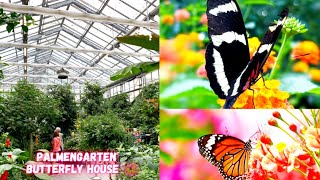 Experience the Beauty of Palmengarten Frankfurt | palmengarten schmetterlinghaus |kids fun frankfurt