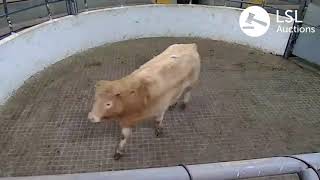 Granard Lot 26 25-01-2021 Granard Lot 26 25-01-2021
