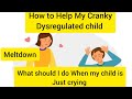 Behaviour management - Working with Cranky Dysregulated Autism child