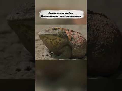 дьявольская жаба #животные #жаба #динозавры #природа #интересное