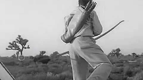 Archery Trick Shot RobinHood