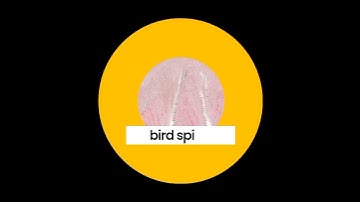 Balcony Bird protection safety net pigeon safety net rat safety net inbvibal Grill mosquito net