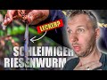 Im philippinischen Dschungel auf der Suche nach einer Delikatesse