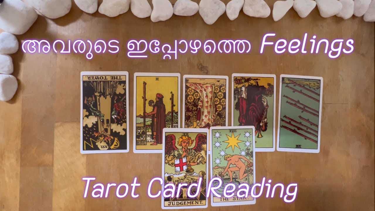 How they are currently Feeling about you 💖 Love Reading Malayalam tarot