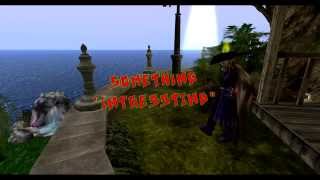 Second life - The Sonic-Sim questions