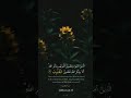 ألا بذكر الله تطمئن القلوب القارئ عبدالرحمن مسعد حالات واتس اب
