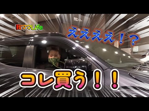 史上初？！夜の〇〇！