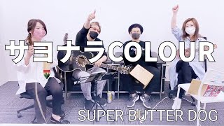 サヨナラCOLOUR/SUPER BUTTER DOG/ハナレグミ／まったりセッション