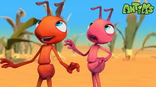 Bottle Rocketeers | 😄🐜| Antiks Adventures - Joey and Boo's Playtime