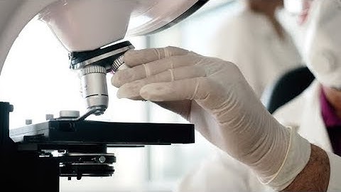 Scientist Researcher Work with Microscope in Lab | Stock Footage - Videohive