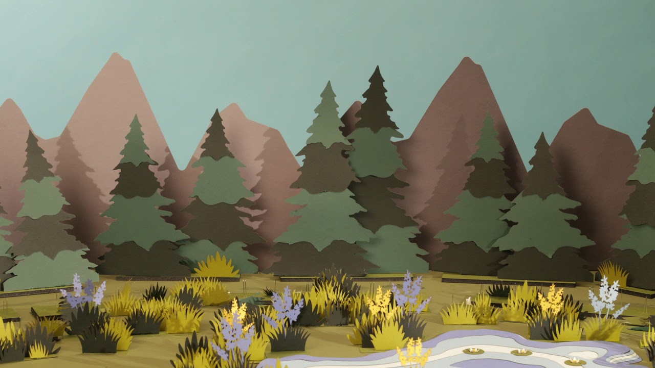 Mohawk Paper: Building with Mohawk