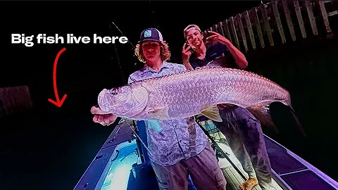 Catching massive fish in Tampa bay                   (TOO MANY FISH CAUGHT!!!) ￼
